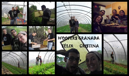 Consom'acteurs et woofers